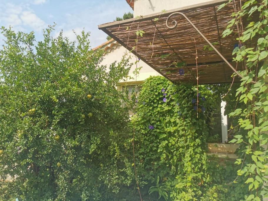 Maison Avec Piscine Dans Village Provencal. Courthezon Екстер'єр фото