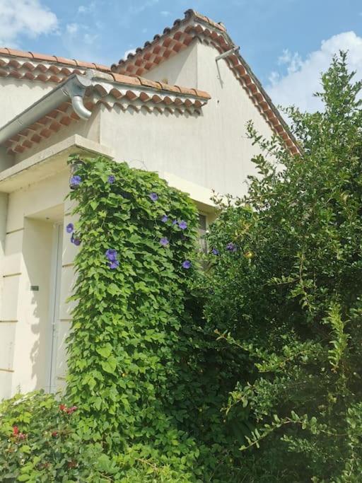 Maison Avec Piscine Dans Village Provencal. Courthezon Екстер'єр фото